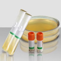 定量菌株 质控样品 酸检测试剂盒 染菌载体 标准物质