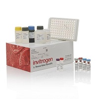 酶联免疫测定试剂盒